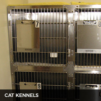 metrovets cat kennels