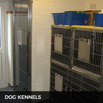 vetinary dog kennels