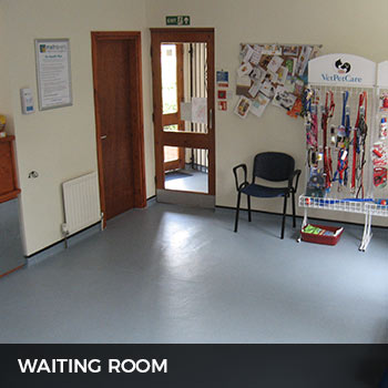 metrovets waiting area
