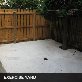 metrovets exercise yard