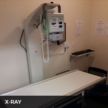 metrovets x-ray area
