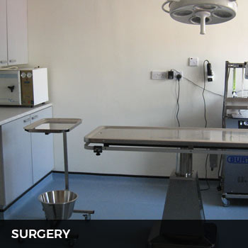 metrovets pet surgery theatre