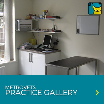 metrovets practice gallery