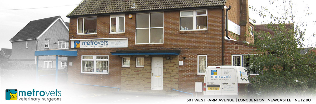 metrovets veterinary surgery in longbenton newcastle