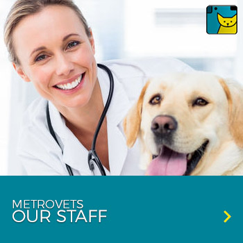 metrovets staff